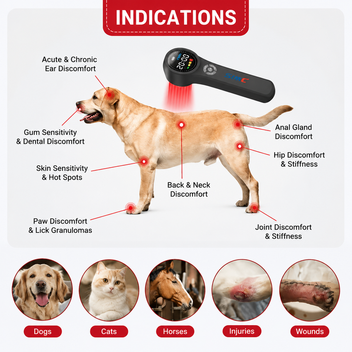 Premium Cold Laser Light Therapy Device Handheld Infrared Red Light 650nm 808nm Pain Relief Massager Arthritis Muscle Relaxation Portable Rechargeable Wellness Tool