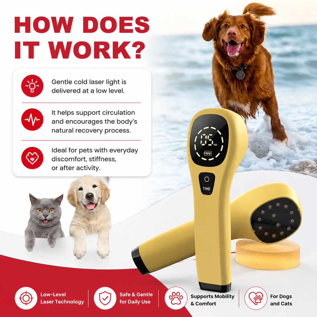 Premium Cold Laser Light Therapy Device Handheld Infrared Red Light 650nm 808nm Pain Relief Massager Arthritis Muscle Relaxation Portable Rechargeable Wellness Tool