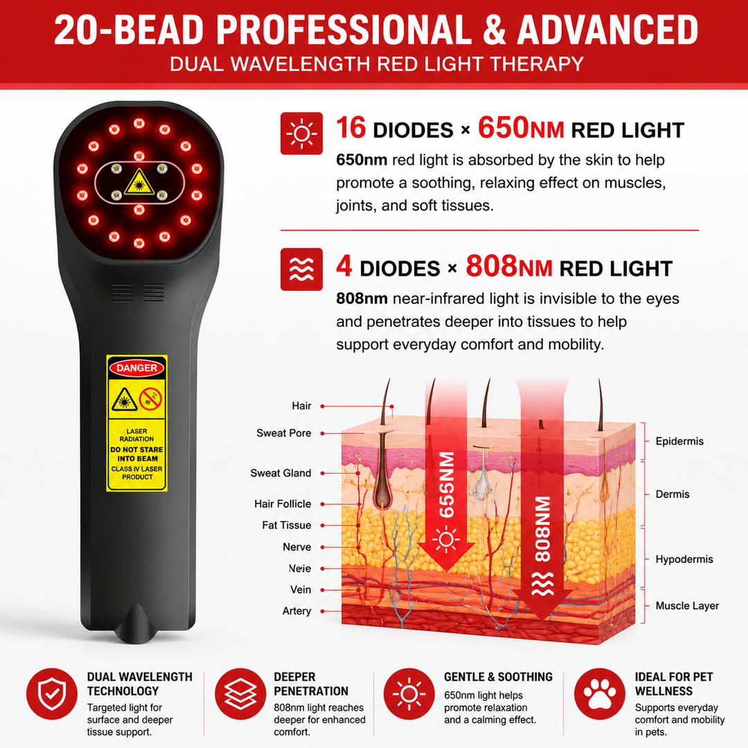Premium Cold Laser Light Therapy Device Handheld Infrared Red Light 650nm 808nm Pain Relief Massager Arthritis Muscle Relaxation Portable Rechargeable Wellness Tool