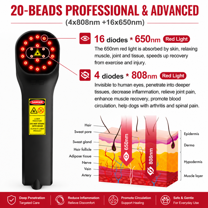 Premium Cold Laser Therapy Device 650nm 808nm Infrared LED Handheld Pain Relief Massager Rechargeable Portable Light Therapy Wellness Device Home Use