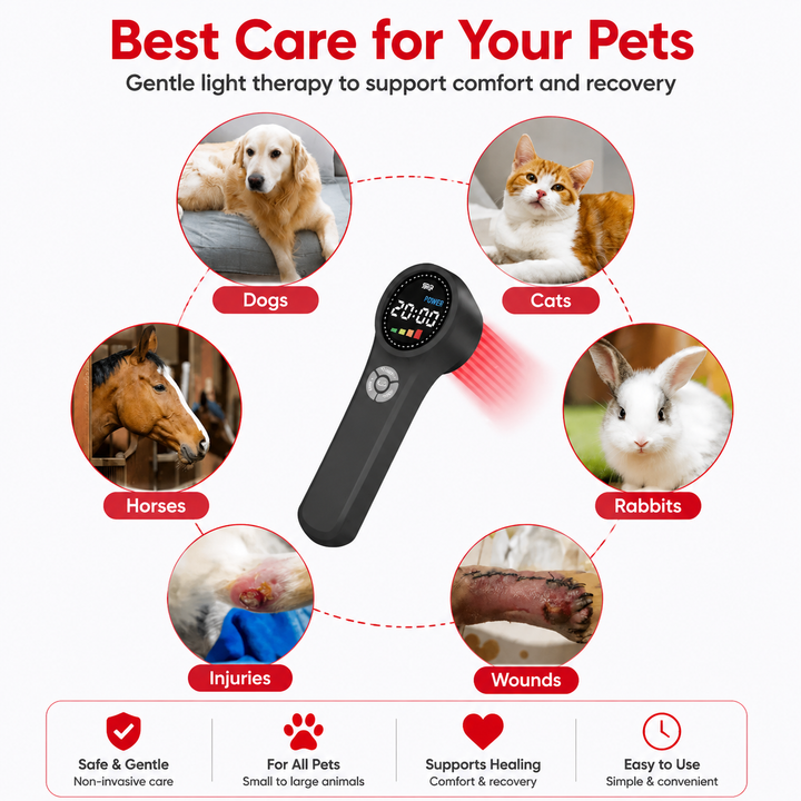 Premium Cold Laser Therapy Device 650nm 808nm Infrared LED Handheld Pain Relief Massager Rechargeable Portable Light Therapy Wellness Device Home Use