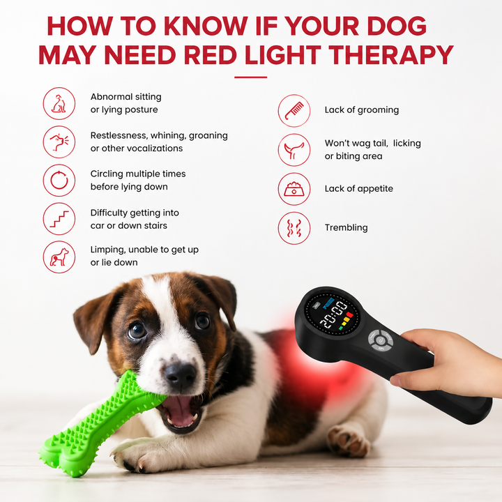 Premium Cold Laser Therapy Device 650nm 808nm Infrared LED Handheld Pain Relief Massager Rechargeable Portable Light Therapy Wellness Device Home Use