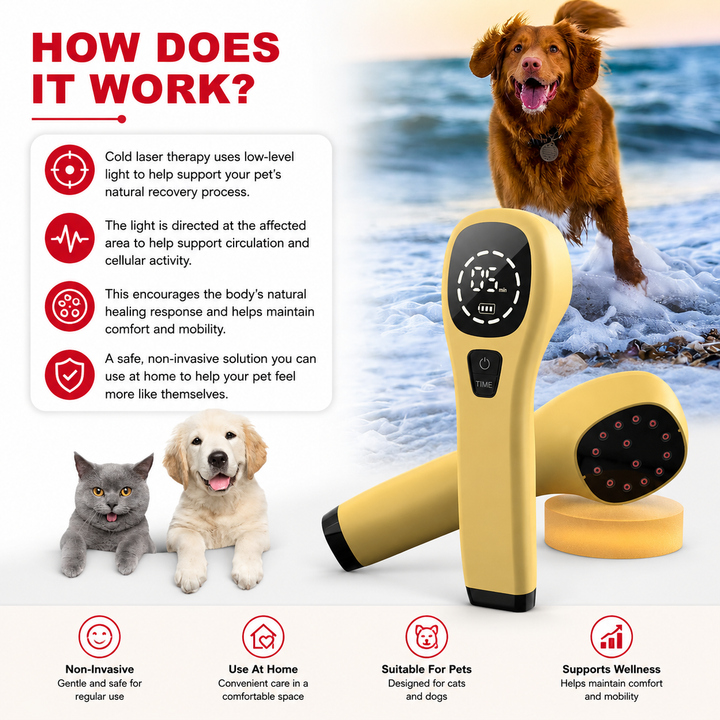 Premium Cold Laser Therapy Device 650nm 808nm Infrared LED Handheld Pain Relief Massager Rechargeable Portable Light Therapy Wellness Device Home Use