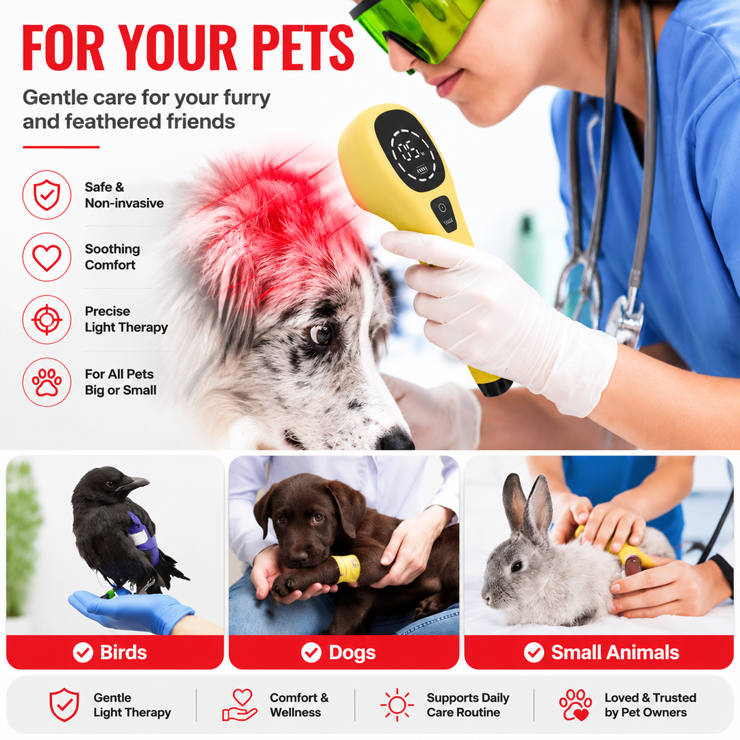 Premium Cold Laser Therapy Device for Pets Dual 808nm 650nm Red Light Handheld Veterinary LLLT Therapy Tool Rechargeable Portable Home Use