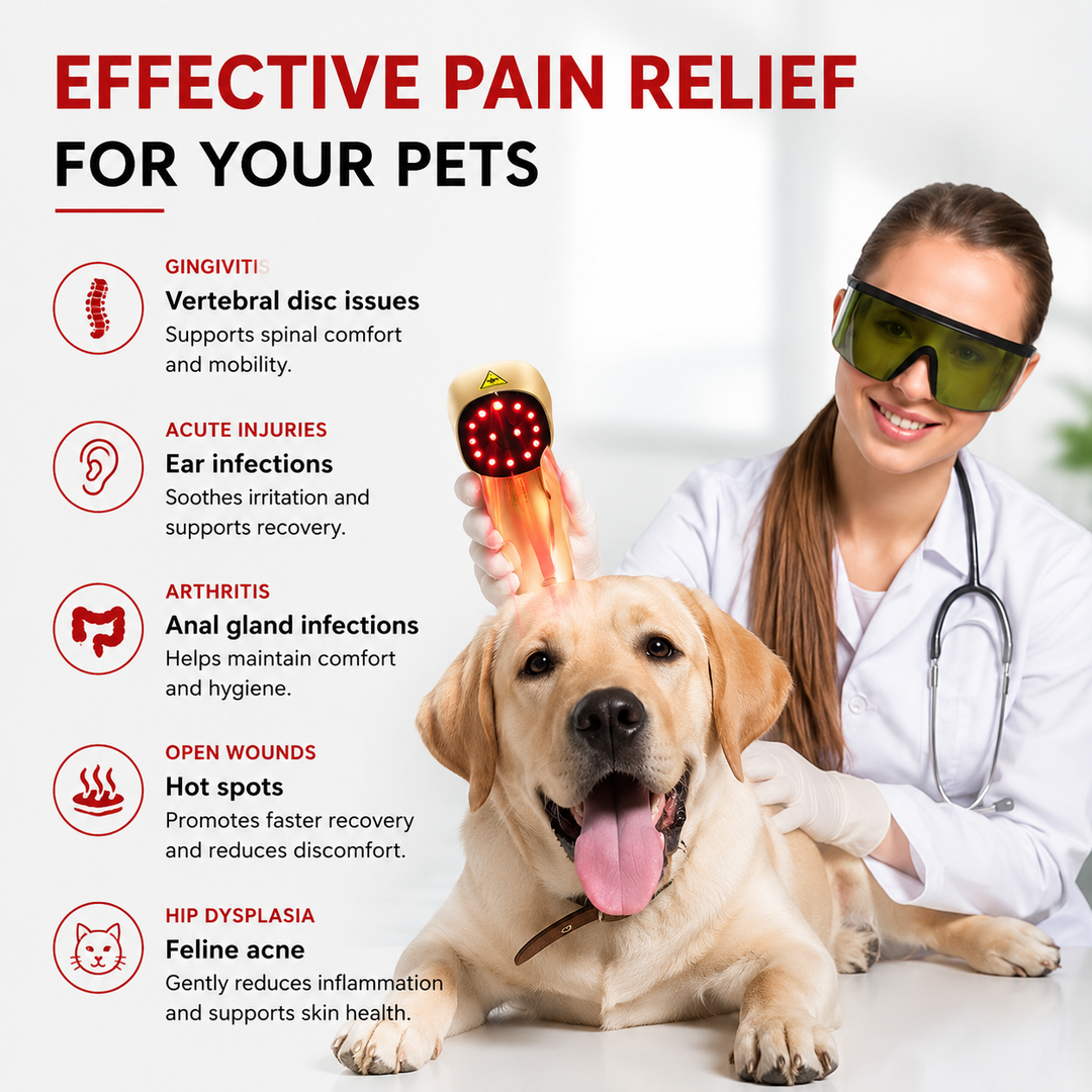 Premium Cold Laser Therapy Device for Pets Dual 808nm 650nm Red Light Handheld Veterinary LLLT Therapy Tool Rechargeable Portable Home Use