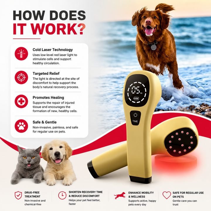 Premium Cold Laser Therapy Device for Pets Dual 808nm 650nm Red Light Handheld Veterinary LLLT Therapy Tool Rechargeable Portable Home Use