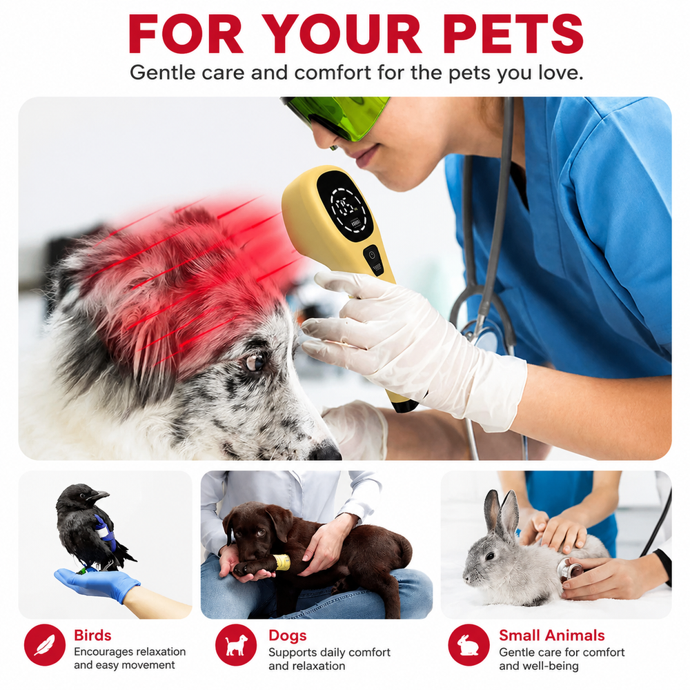 Premium Cold Laser Therapy Device for Pets Dual 808nm 650nm Red Light Veterinary Handheld Light Therapy Tool for Dogs Cats Joint Muscle Care