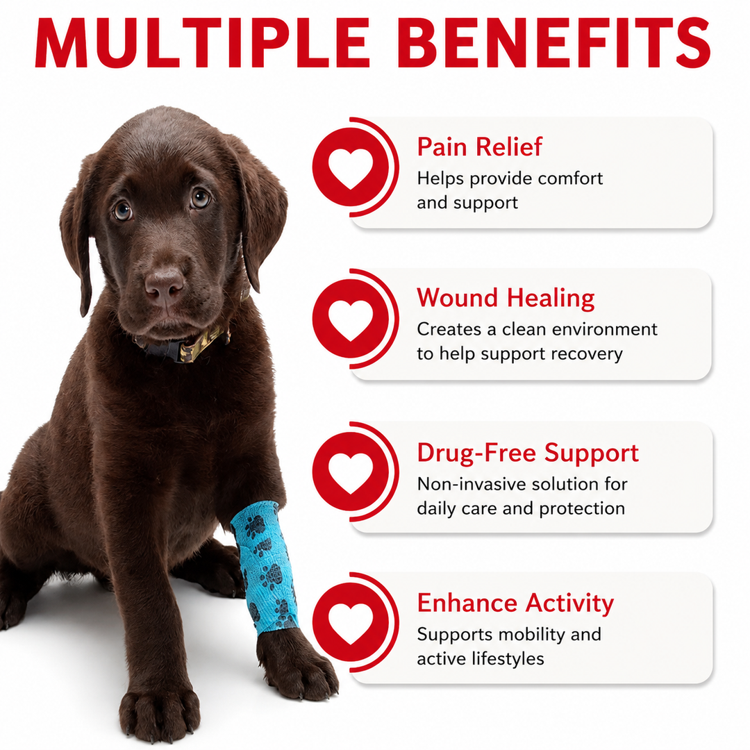Premium Cold Laser Therapy Device for Pets Dual 808nm 650nm Red Light Veterinary Handheld Light Therapy Tool for Dogs Cats Joint Muscle Care