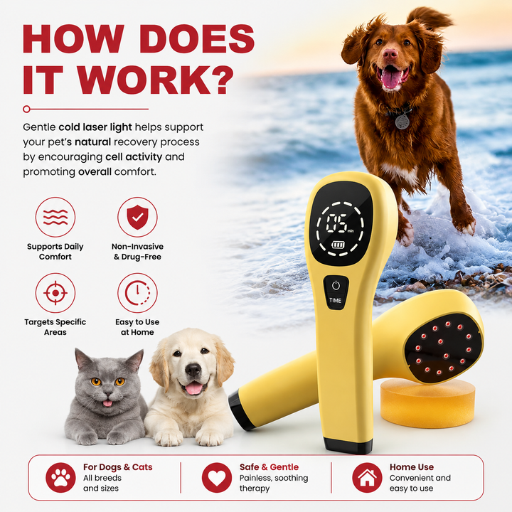 Premium Cold Laser Therapy Device for Pets Dual 808nm 650nm Red Light Veterinary Handheld Light Therapy Tool for Dogs Cats Joint Muscle Care