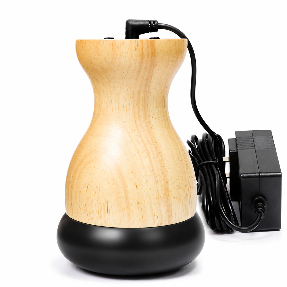 Premium Electric Hot Stone Gua Sha Massager Heated Bian Stone Body Massage Tool Back Waist Pain Relief Spa Heat Therapy Relaxation Device Pro