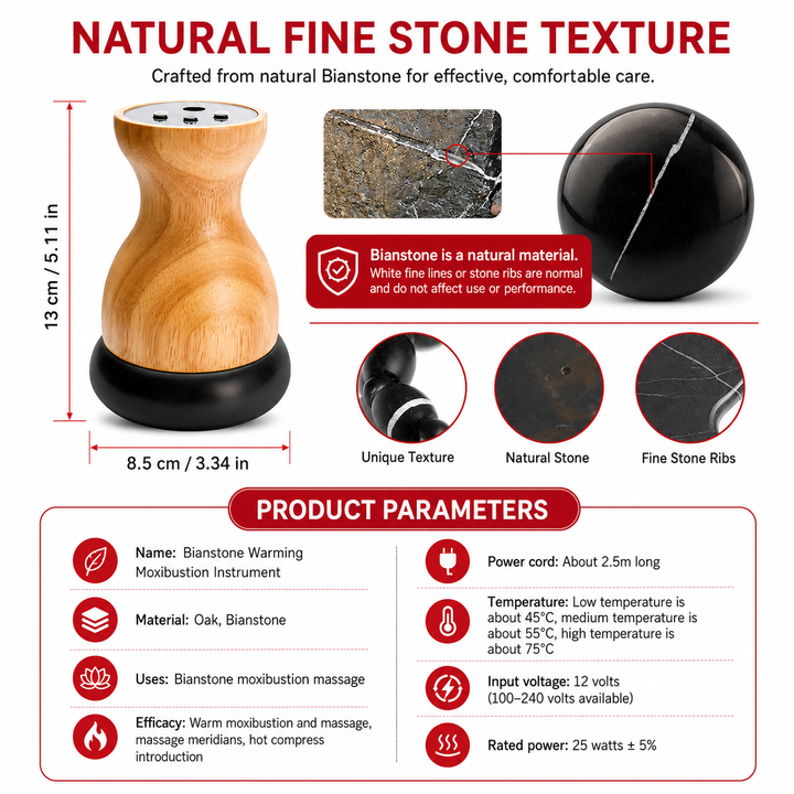 Premium Electric Hot Stone Gua Sha Massager Heated Bian Stone Body Relaxation Tool Spa Heat Therapy Back Waist Muscle Pain Relief Device Home Use
