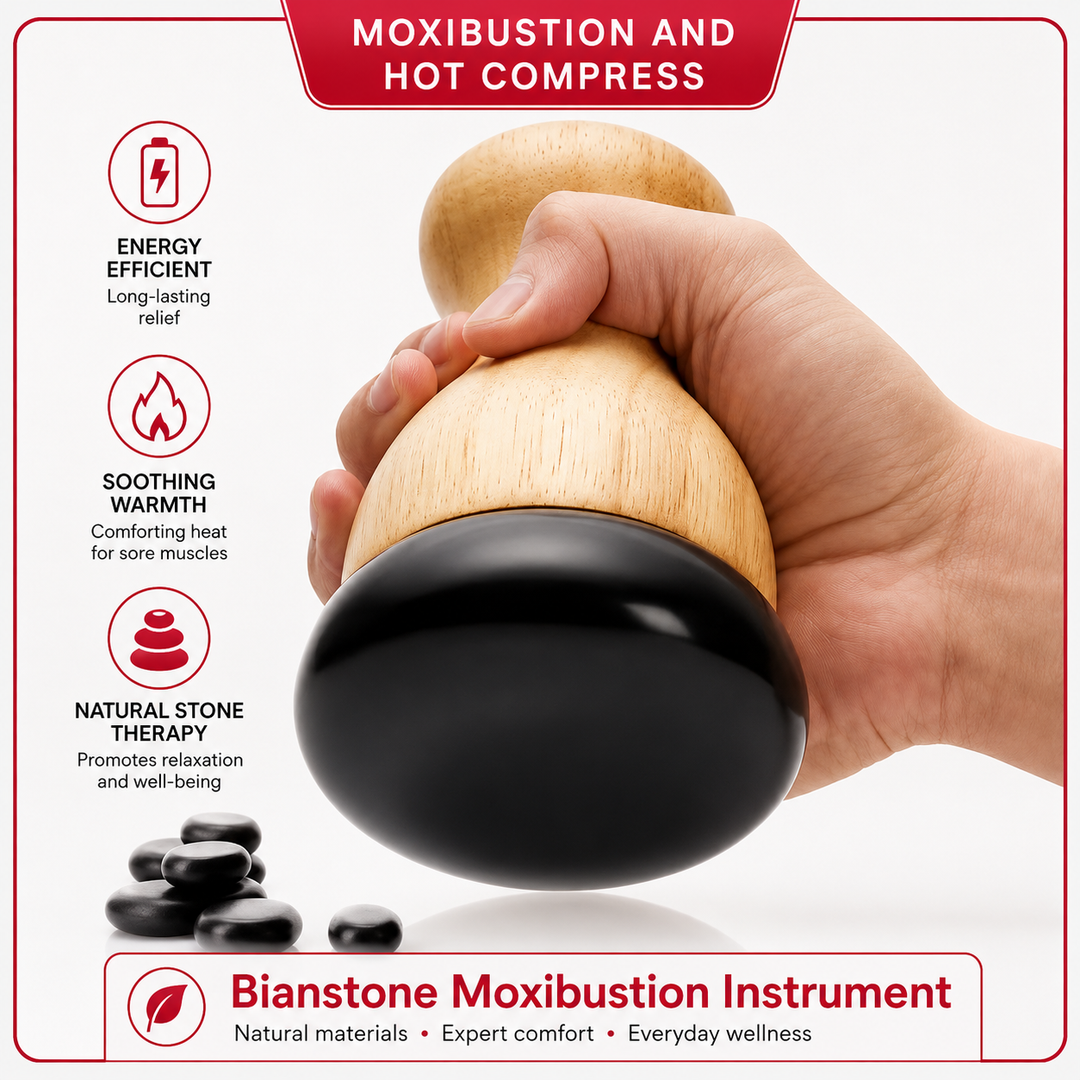 Premium Heated Gua Sha Massager Bian Stone Electric Massage Tool Adjustable Heat 45 to 75C Portable Body Massager for Back Waist Home Spa Daily Use