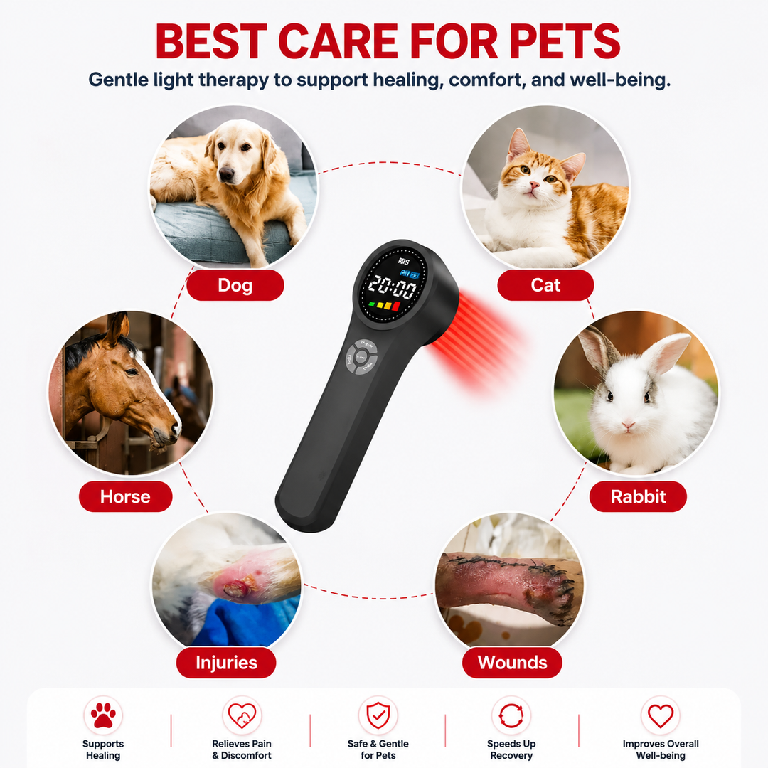 Premium LED Light Device Handheld 808nm 650nm Rechargeable Light Device Adjustable Timer Portable Therapy Tool with Goggles Home Daily Use Device