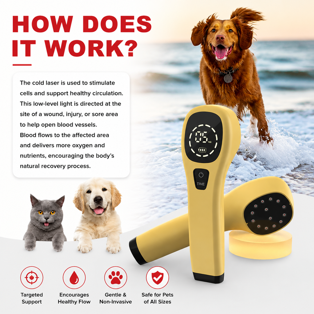 Premium LED Light Device Handheld 808nm 650nm Rechargeable Light Device Adjustable Timer Portable Therapy Tool with Goggles Home Daily Use Device
