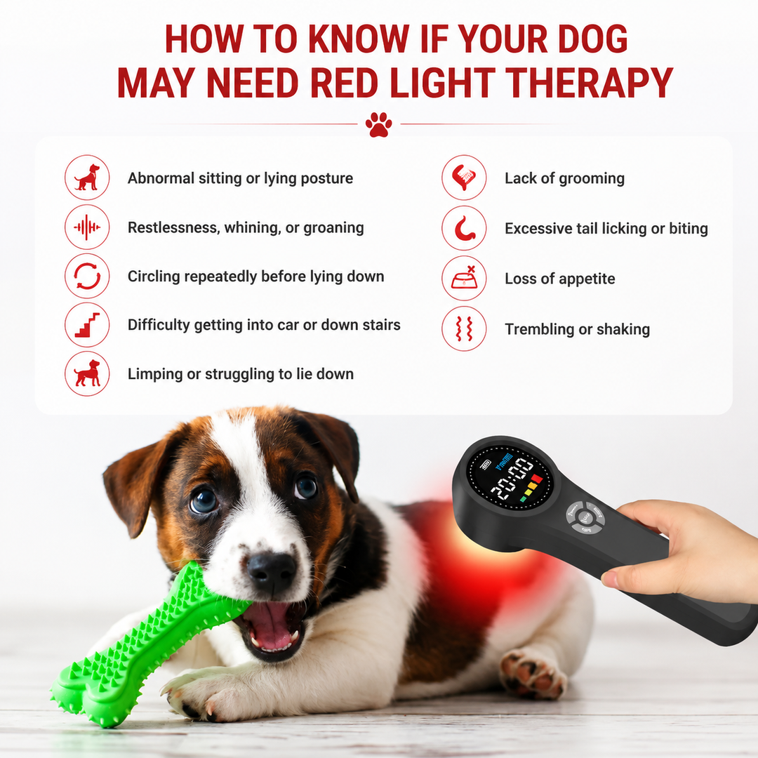 Premium LED Light Device Handheld 808nm 650nm Rechargeable Light Device Adjustable Timer Portable Therapy Tool with Goggles Home Daily Use Device
