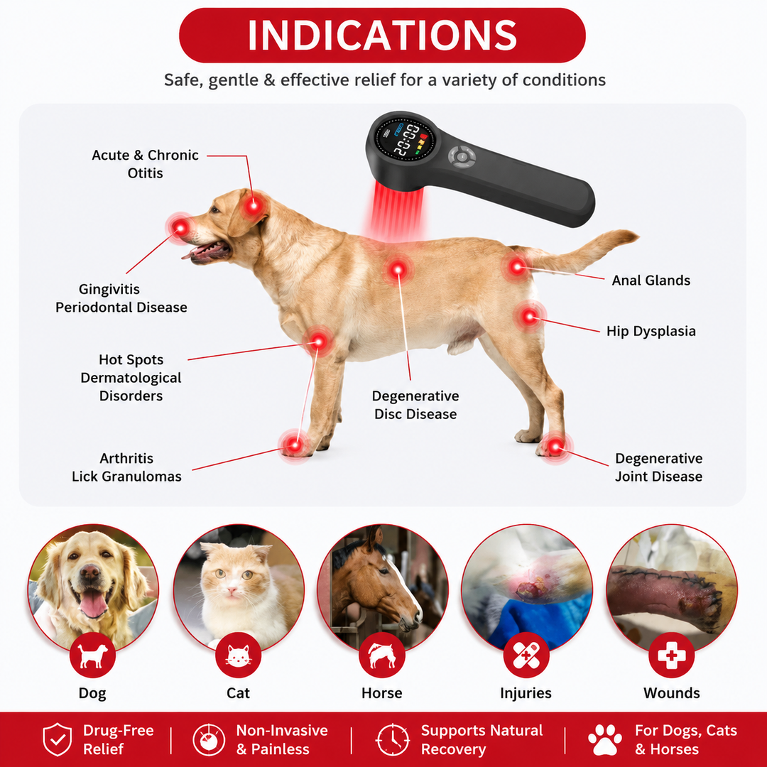 Premium LED Light Device Handheld 808nm 650nm Rechargeable Light Device Adjustable Timer Portable Therapy Tool with Goggles Home Daily Use Device