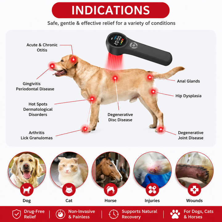 Premium LED Light Device Handheld 808nm 650nm Rechargeable Light Device Adjustable Timer Portable Therapy Tool with Goggles Home Daily Use Device