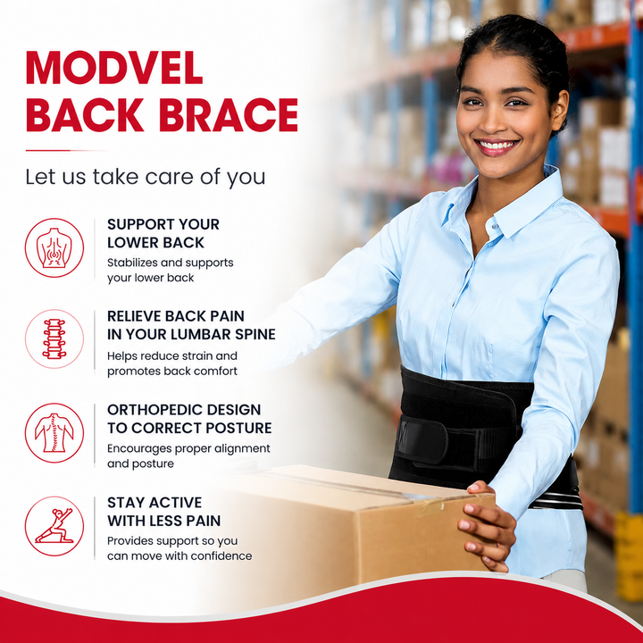 Premium Lower Back Support Brace 6 Stays Lumbar Support Belt Adjustable Compression Waist Belt Gym Sitting Posture Gym Back Support Anti-Slip