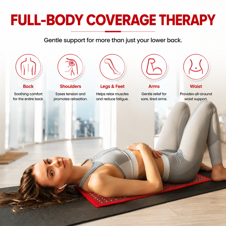 Premium Red &amp; Infrared Therapy Belt 660nm 850nm LED Light Wrap 360 LEDs Wearable Heating Pad for Body Comfort Muscle Joint Recovery Support