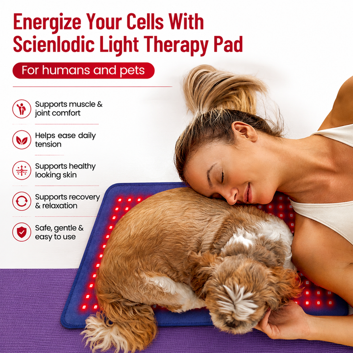 Premium Red &amp; Infrared Therapy Belt 660nm 850nm LED Light Wrap 360 LEDs Wearable Heating Pad for Body Comfort Muscle Joint Recovery Support