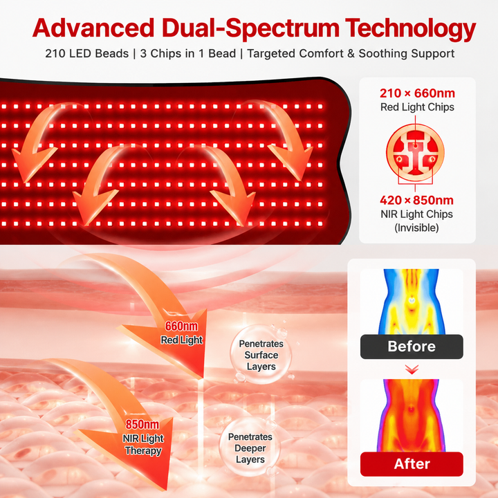 Premium Red Light Therapy Belt 210 LED 660nm 850nm Infrared Heating Wrap for Back Pain Relief Muscle Recovery Skin Tightening Remote Control Device