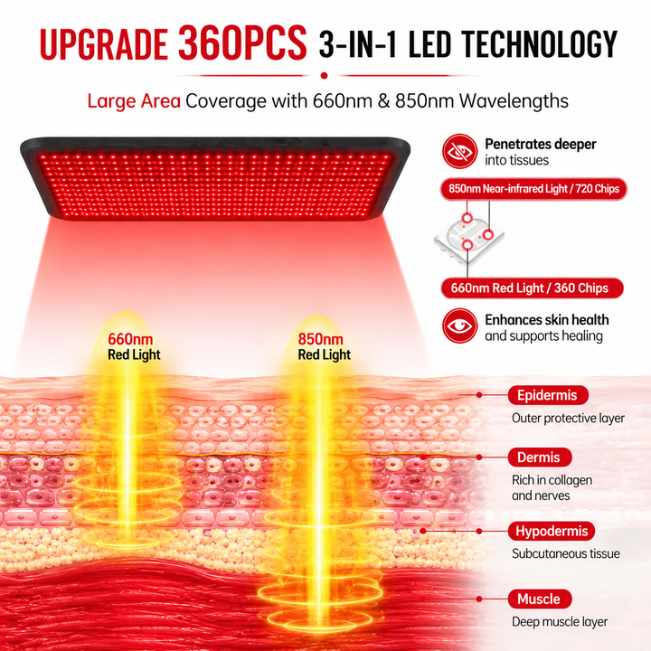 Premium Red Light Therapy Heating Pad 660nm 850nm Infrared LED Mat 360 LED Large Body Therapy Pad Back Waist Shoulder Pain Relief Home Use