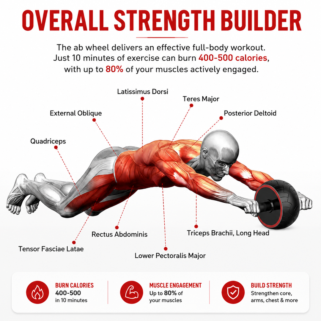 Premium Single Wheel Ab Roller Core Trainer Mute Rubber Wheel Abdominal Workout Equipment Home Gym Fitness Roller Bodybuilding Exercise Tool with Mat