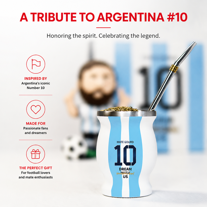 Premium Yerba Mate Cup Set Argentina Inspired Stainless Steel Mate Gourd with Bombilla Straw and Cleaning Brush Traditional Mate Drinking Set