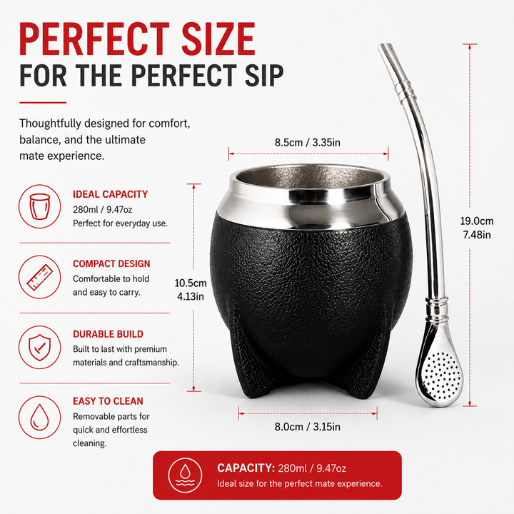 Premium Yerba Mate Gourd Set Insulated Stainless Steel Mate Cup with Bombilla Straw Cleaning Brush 10oz Travel Tea Mug Portable Drinkware Set